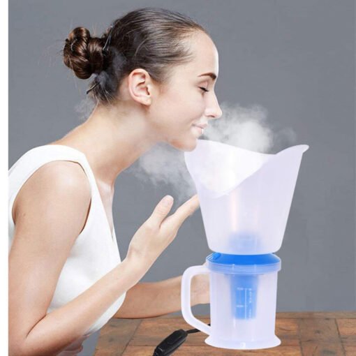 steam inhaler and facial steam