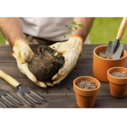 hand tools for gardening small plants