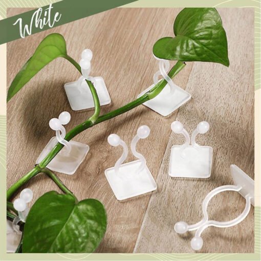 Multipurpose wall plant climbing clip widely used for holding plants