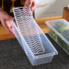 Transparent plastic Fridge storage container with removable drain plate (1500ml approx capacity)