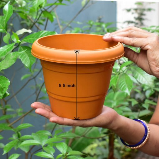 5.5 inch height gardening plastic pot or gamla