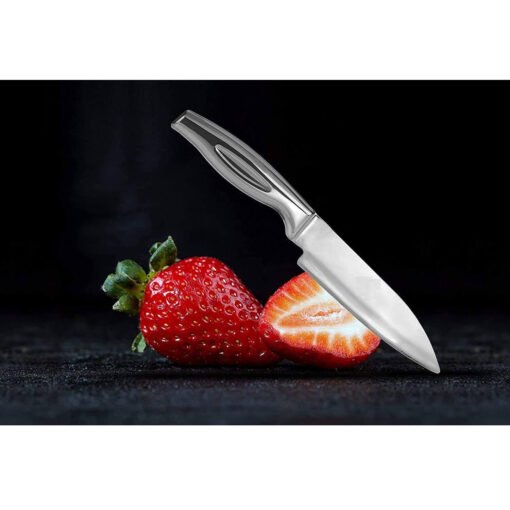 Premium heavy duty stainless steel chef knife for kitchen (10 Inch)