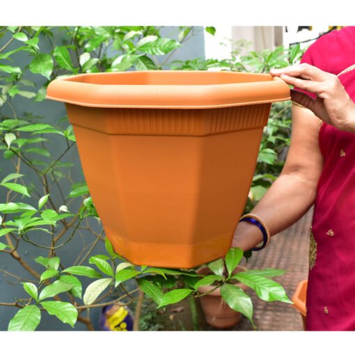 buy online octagonal shape plastic pot gamla in Raipur