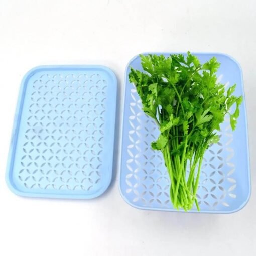 plastic storage basket for coriander in fridge